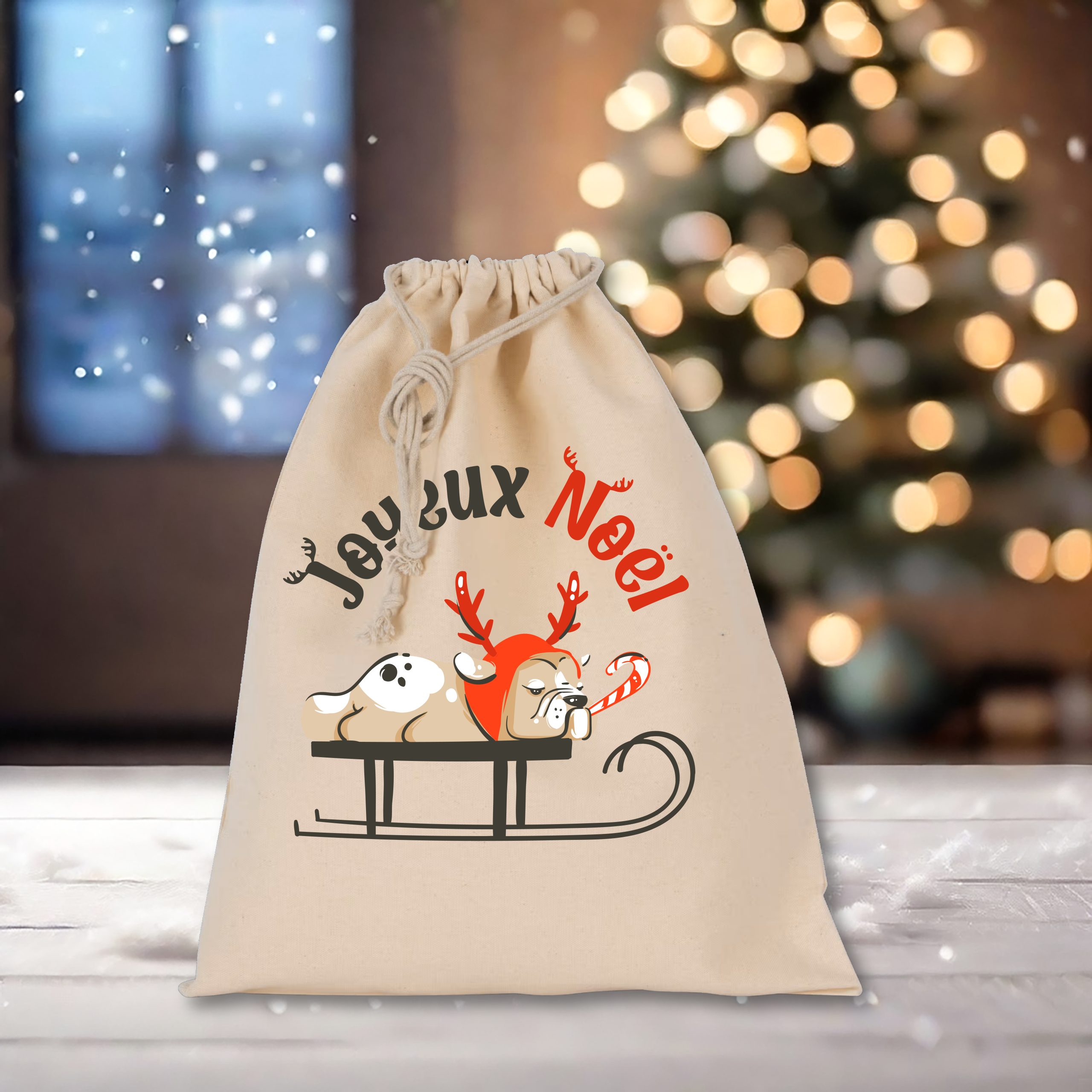Sac chien sur la luge